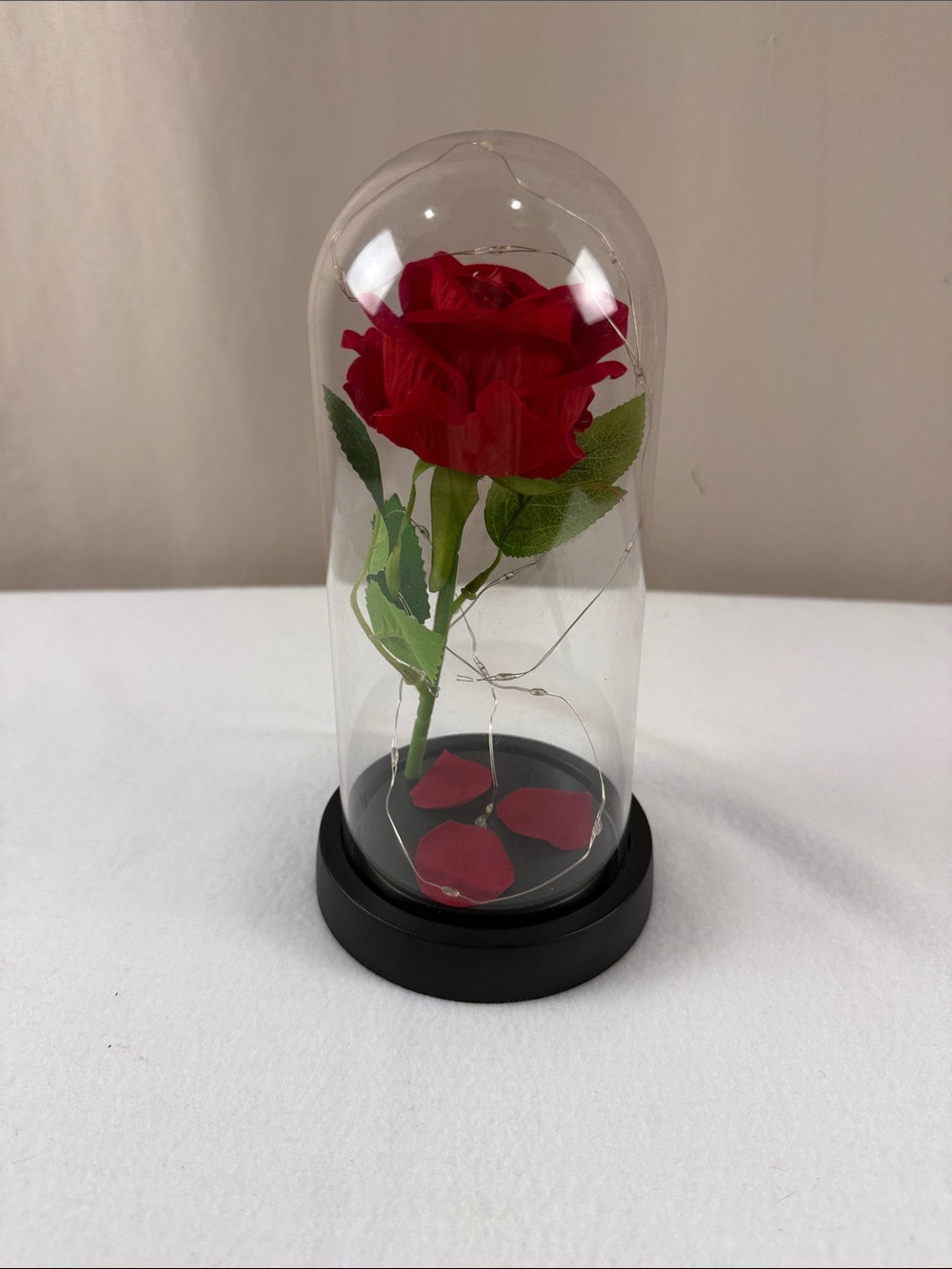 Red Preserved Rose Dome - Home Art Decorative Accent